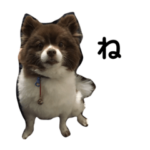 エース君のスタンプ