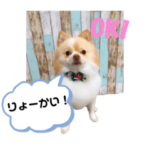 エース君スタンプ