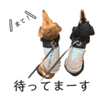 マルコとエース