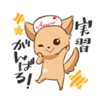 さわ犬ラッキー