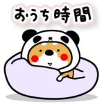 柴犬パンダのおうち時間。