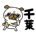 千葉のパグさん