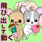 ❤️飛び出す❤️動く❤️かわいいチワワ犬