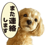 背景が動く!犬のまるちゃん（実写）