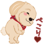 飛び出す! かわいい犬のマルちゃん 冬