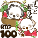 シーズー犬100『ずっと使える言葉』