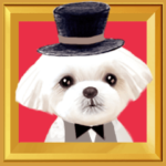 動く！ペットたち