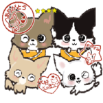 愛犬の名前にできる!!カスタム