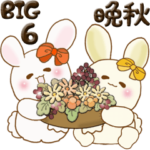 ぽっちゃりウサギ 6『晩秋』