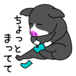 くろぶた　ぴぎー