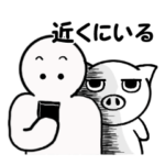 今を伝えるしろぶたちゃん