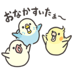 BIRDSTORY ひなのおねだり
