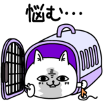 じろりねこ悩みシンプル