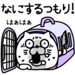 ねこたまっしぐら引きこもりニート