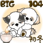 シーズー犬 104『初冬』