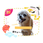 俺スタンプ  SP（七五三編）