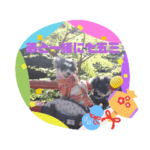 ミニチュアシュナウザーモコ七五三