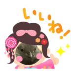 七五三のチョコちゃん！