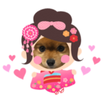 ポメラニアンのモコちゃん七五三スタンプ