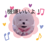 七五三のろこんちゃん！