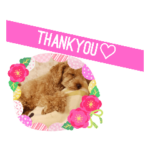 七五三ぽてと。