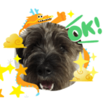 七五三まめあず