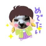 七五三てんはるちゃん