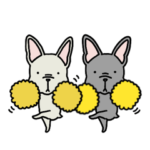 ✨ワンちゃんの幸せを応援‼️