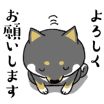 柴犬の敬語その２