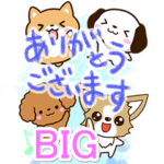 わちゃわちゃドッグ