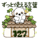 シーズー犬 127『ずっと使える言葉』