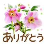 ほんわかさんNo.34