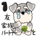 シュナウザー 1『仲の良い人に』