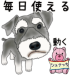 動くよ！シュナウザー