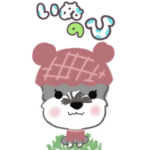 ポップアップふんわりシュナこむぎ