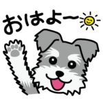 Cute! シュナウザースタンプ