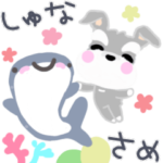 シュナウザー犬とジンベイザメ