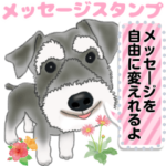 シュナウザーのメッセージ