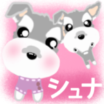 ふんわり　癒され　シュナウザー 5