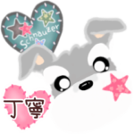 ふんわり癒されシュナウザー