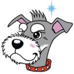 シュナウザー犬ロッキー2