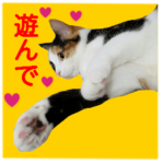 猫まみれ写真スタンプ ラムちゃん