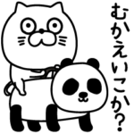 ねこたまっしぐら家族連絡軍隊風