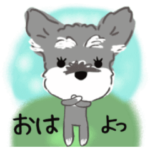 動くふんわりかわいいシュナこむぎ