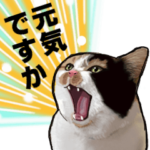 ネコトリオ　リカちゃんハウス