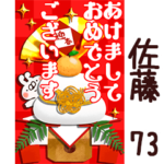 専用73<一生使える正月>
