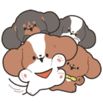 たれみみよんひき