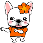 動く：キュートなフレンチブルドッグ