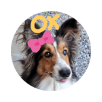 かりんとポッキー