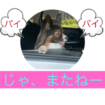 パピヨン ポッキーのスタンプ